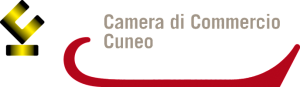 camera-commercio-CN-e1432025806310